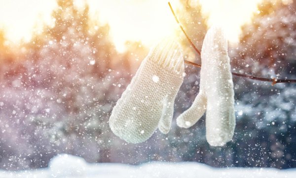 Теплая зима