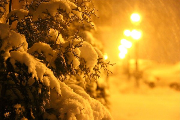 Теплая зима