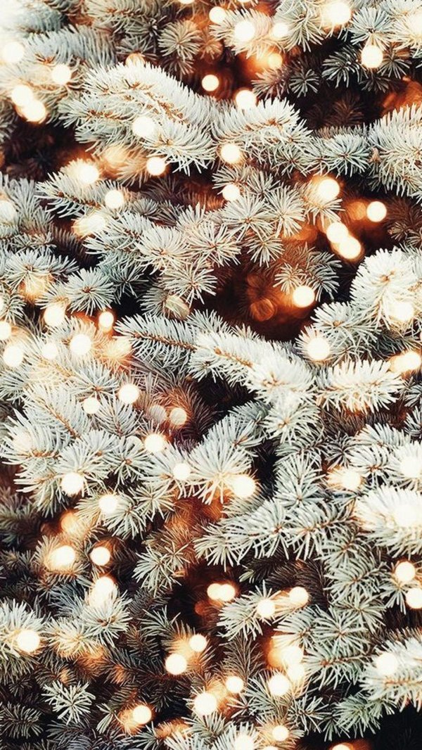 Теплая зима