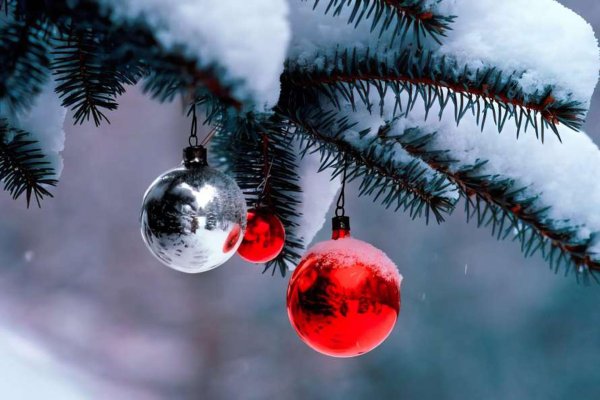 Теплая зима