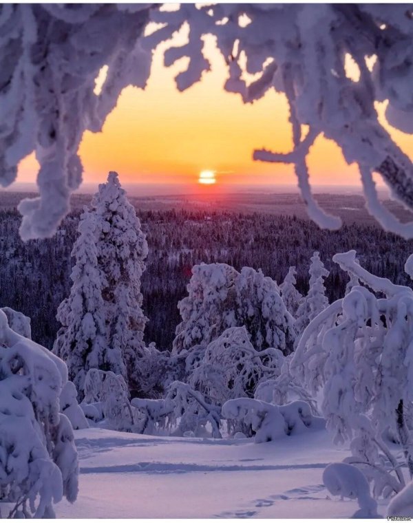 Теплая зима