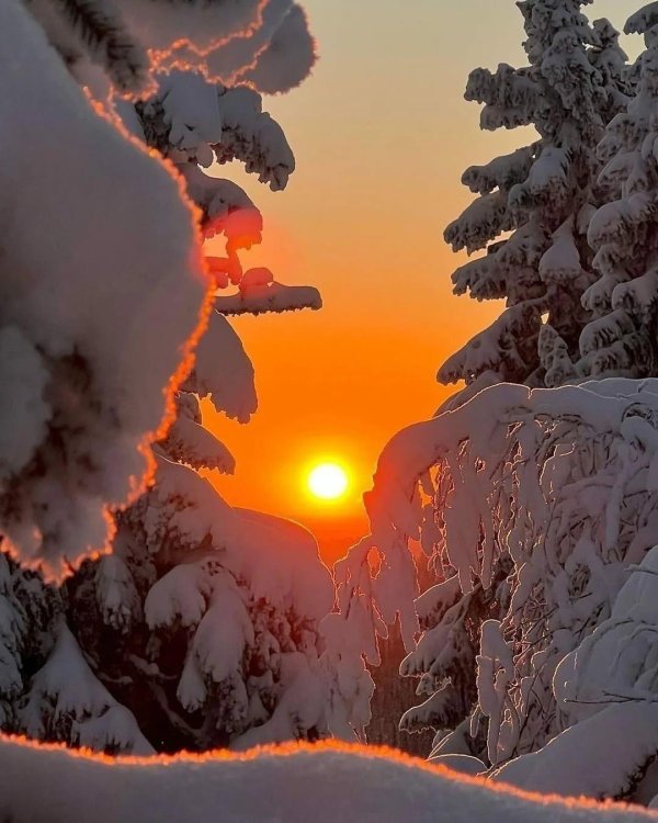 Теплая зима