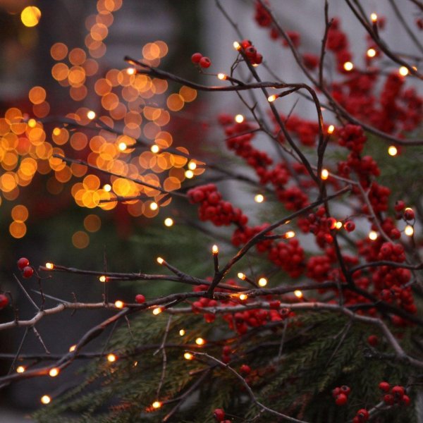 Теплая зима