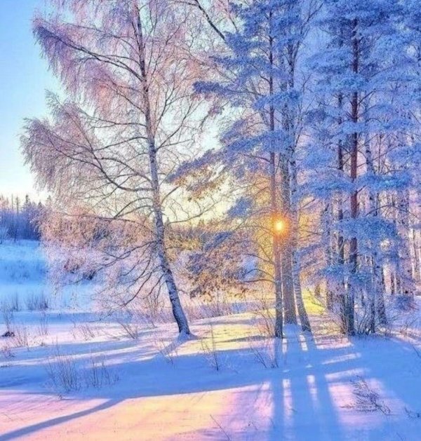 Теплая зима