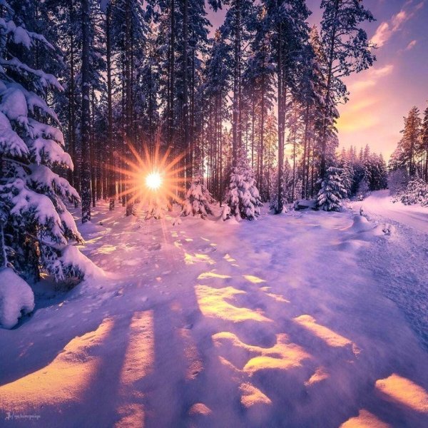 Теплая зима