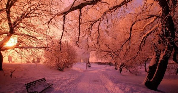 Теплая зима