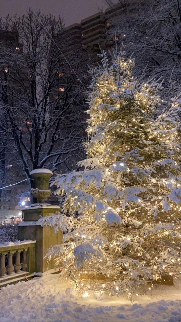 Зима праздник