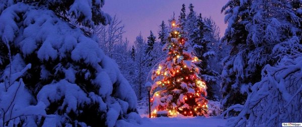 Зима праздник