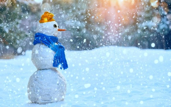 Зима праздник