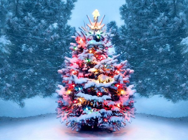 Зима праздник