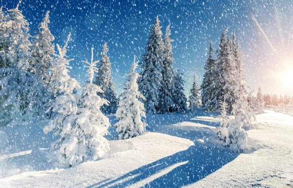 Декабрь зима