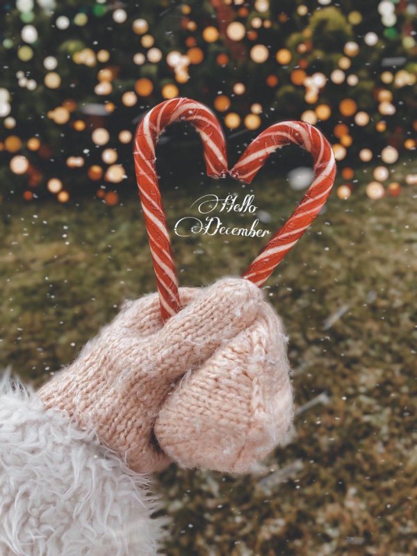 Декабрь зима