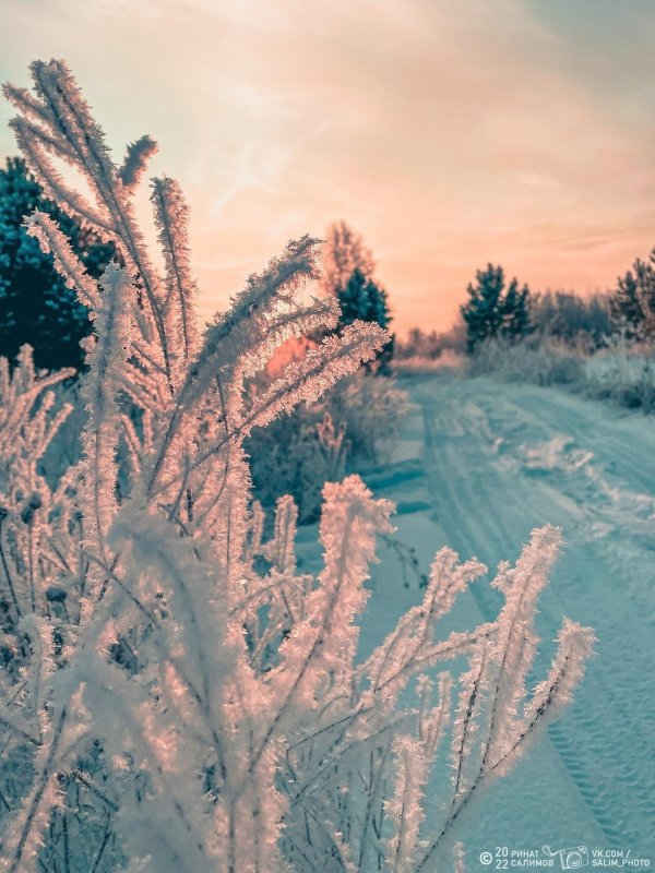 Декабрь зима