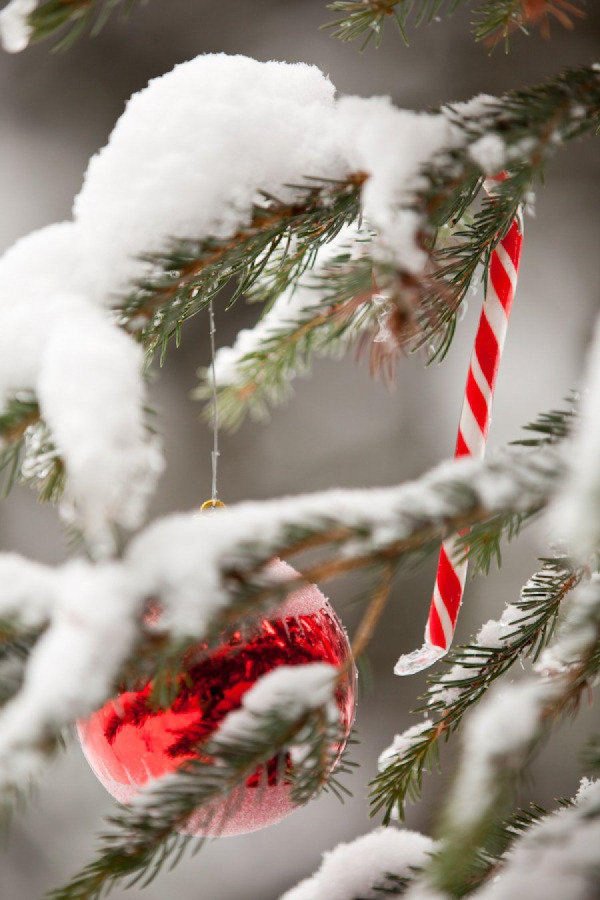 Декабрь зима