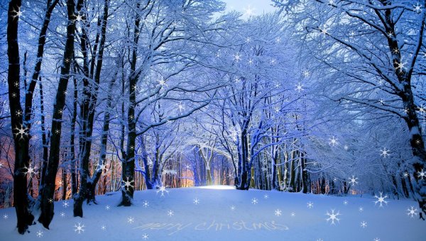 Декабрь зима