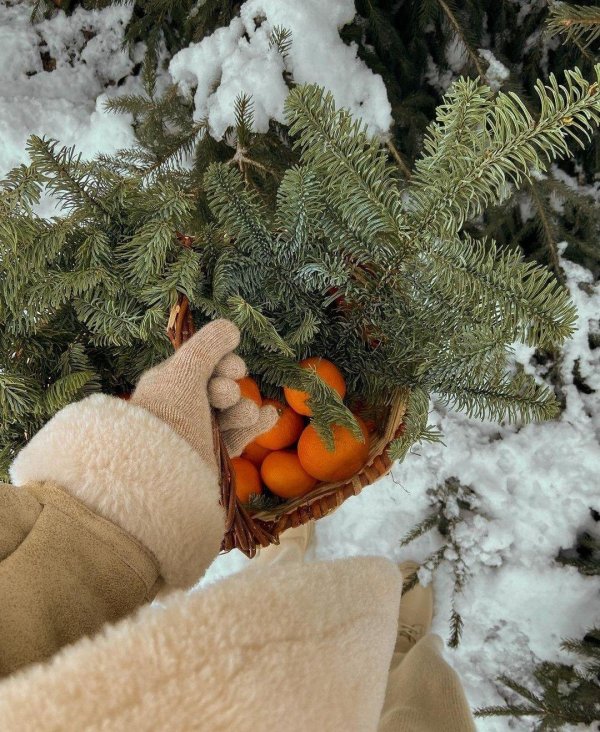 Декабрь зима