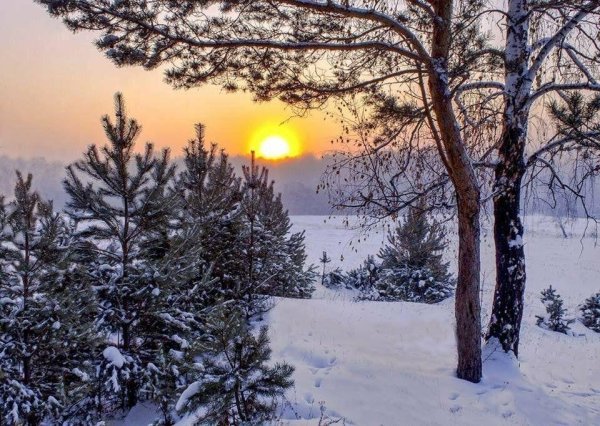 Декабрь зима