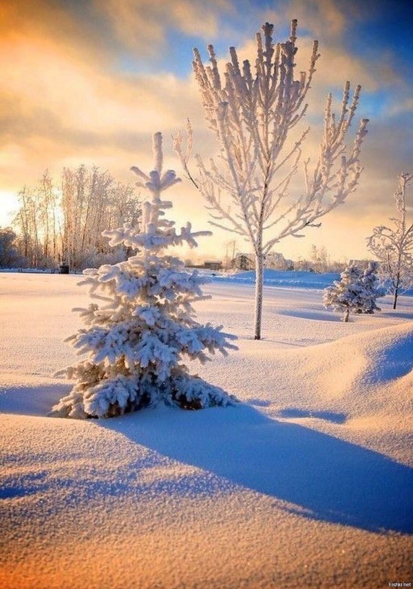 Декабрь зима