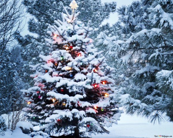 Декабрь зима