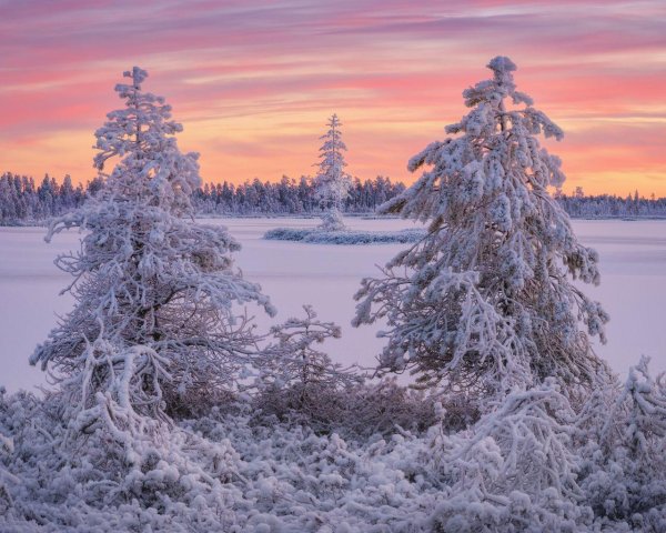 Декабрь зима