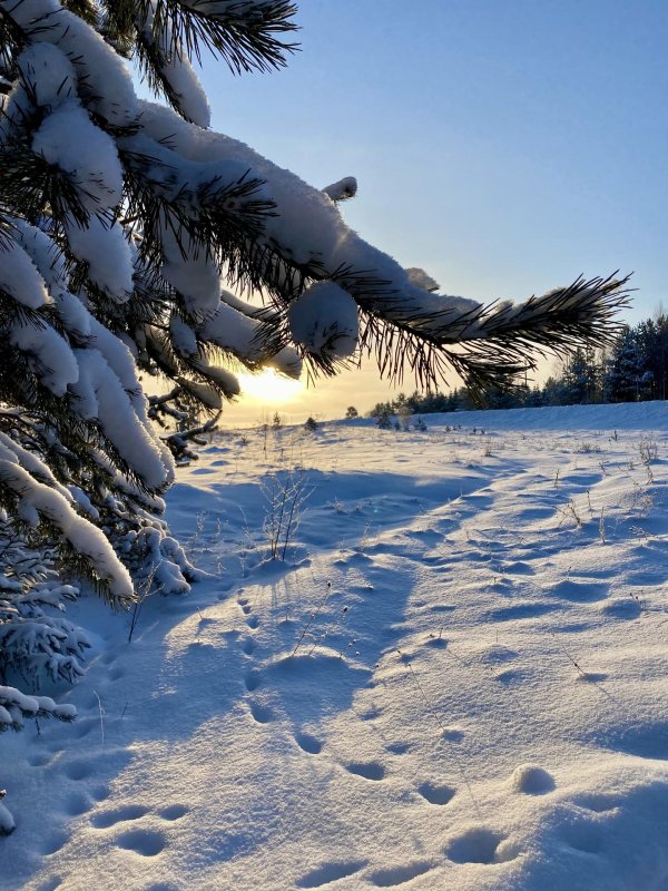 Декабрь зима