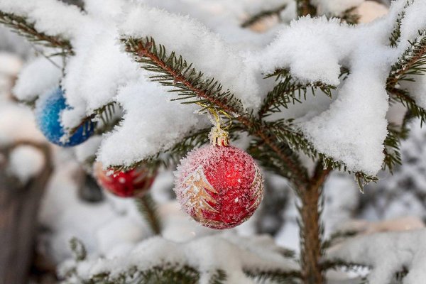 Декабрь зима