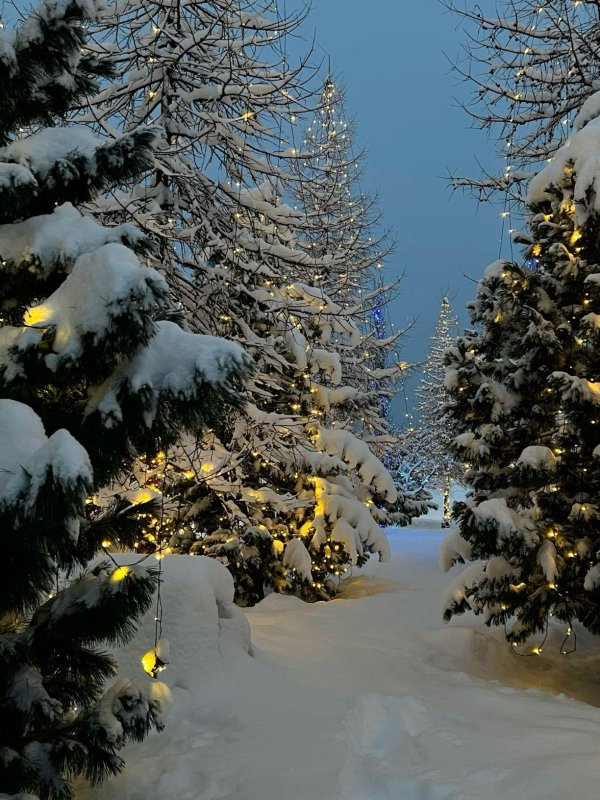 Декабрь зима