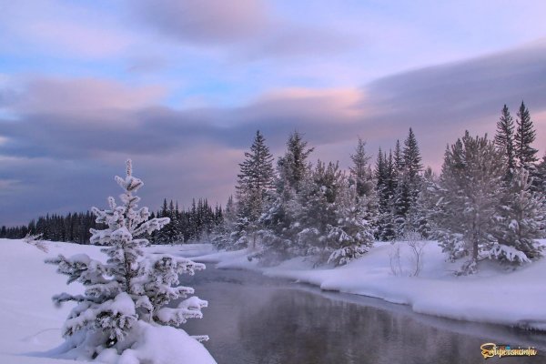 Декабрь зима