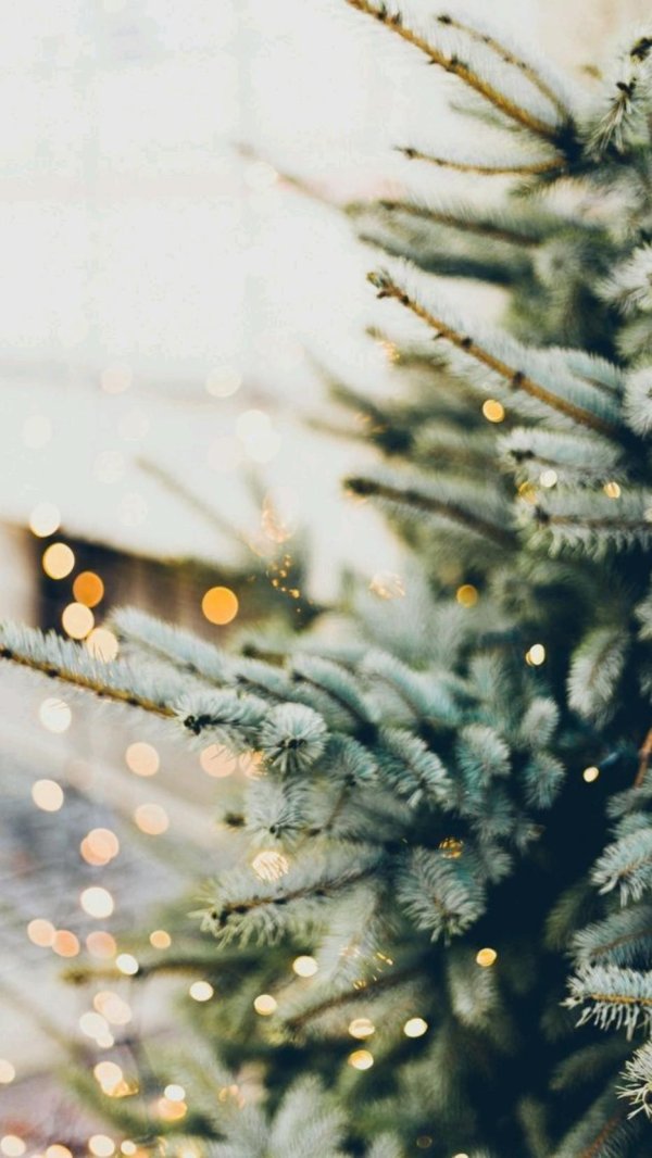 Декабрь зима