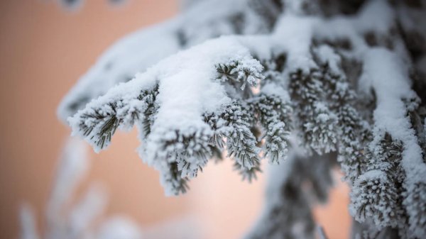 Декабрь зима