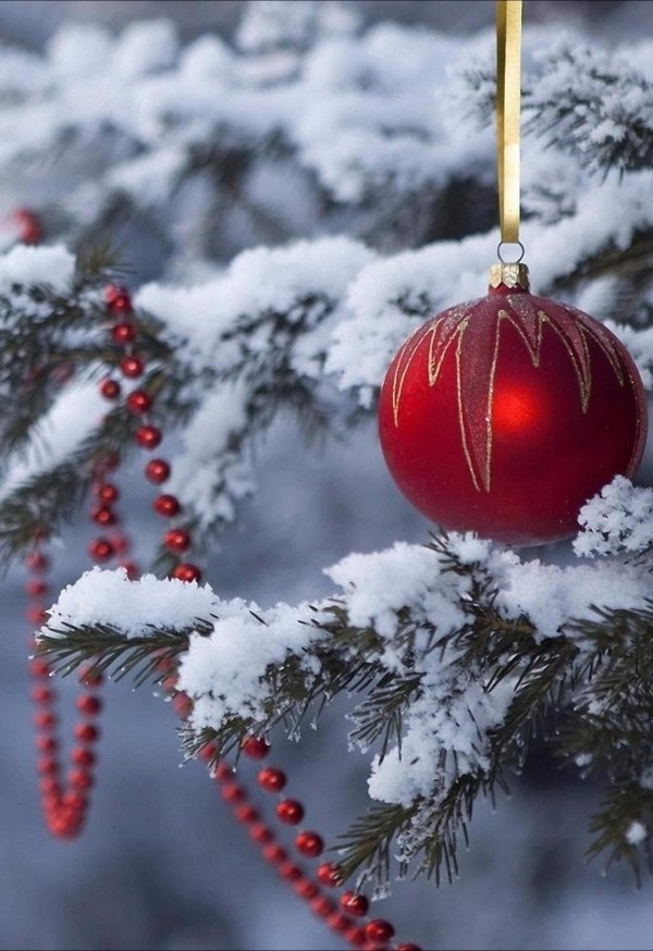 Декабрь зима