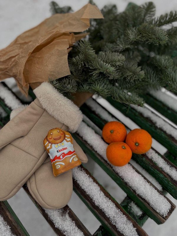 Декабрь зима