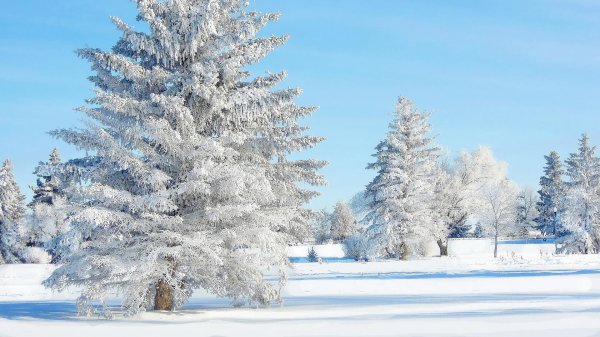 Декабрь зима