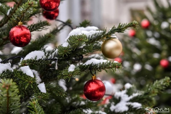 Декабрь зима