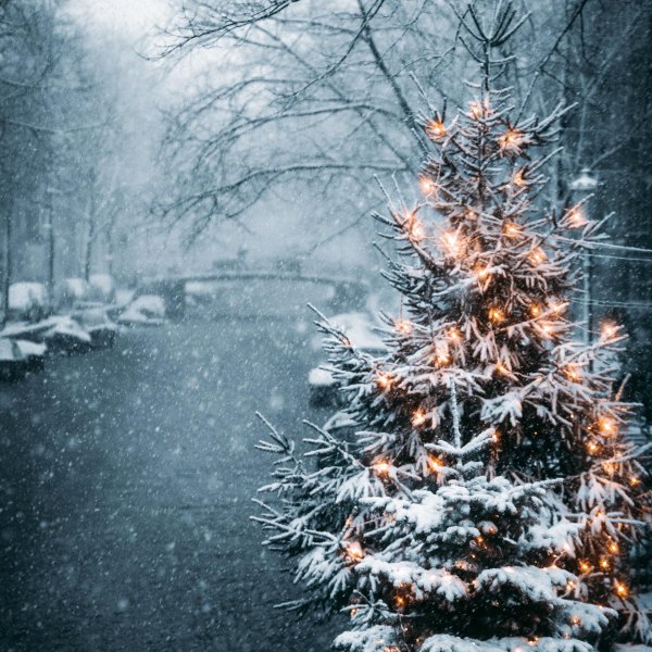 Елочка зима