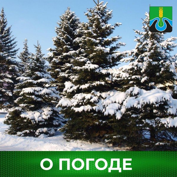 Елочка зима