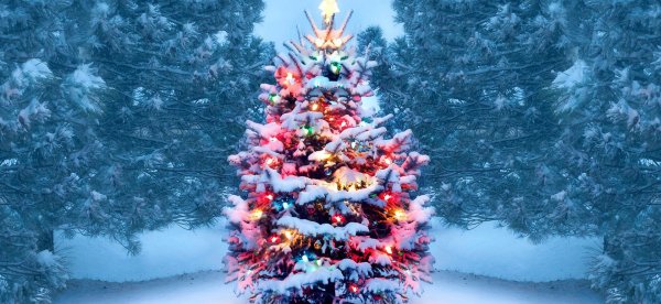 Елочка зима