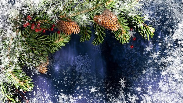 Елочка зима