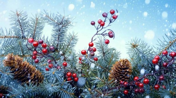 Елочка зима