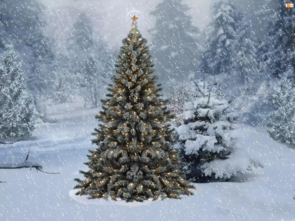 Елочка зима