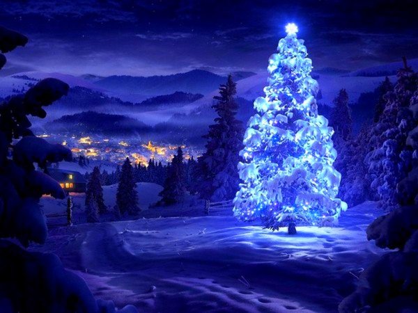 Елочка зима