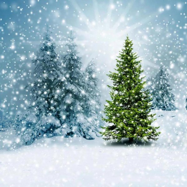 Елочка зима