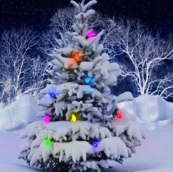 Елочка зима