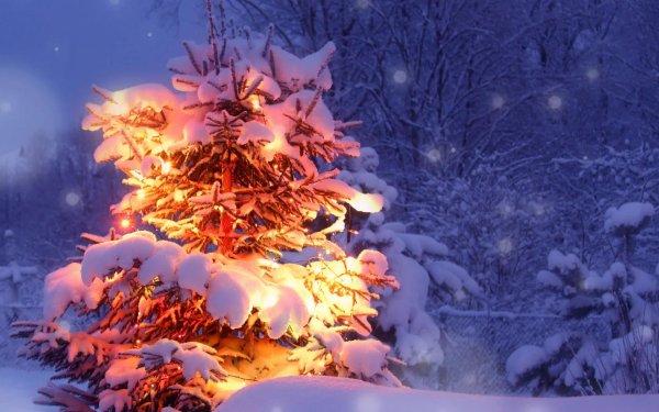 Елочка зима