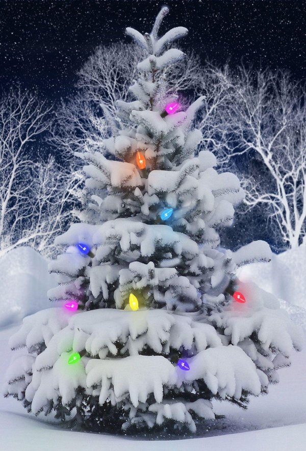 Елочка зима