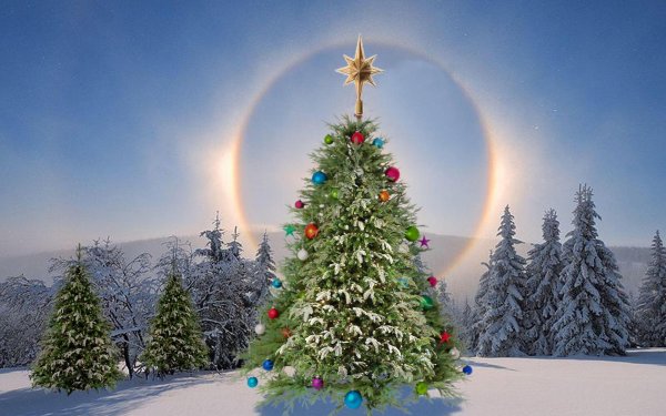 Елочка зима