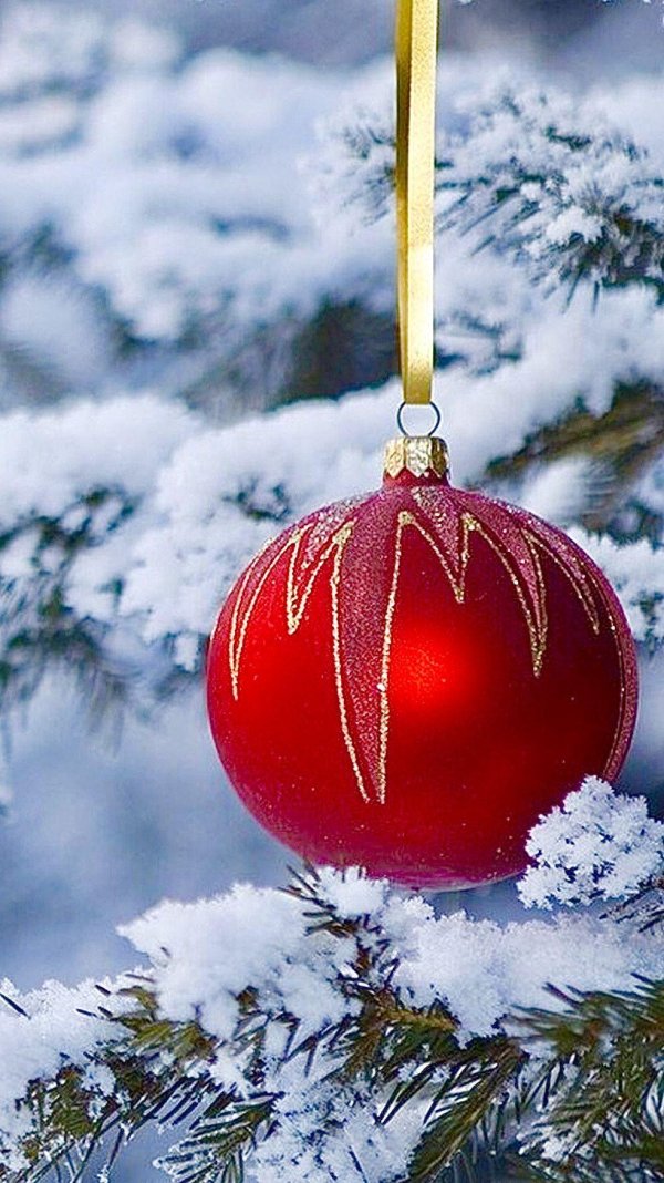 Елочка зима