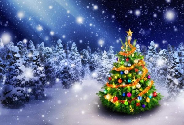 Елочка зима