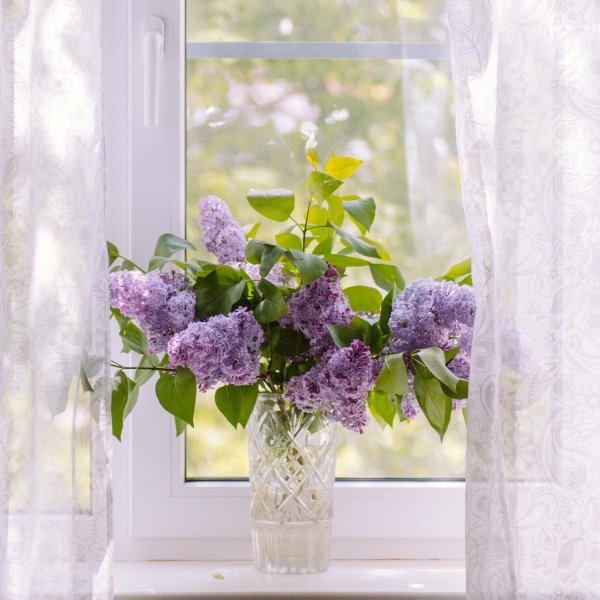 сирень в стеклянной вазе