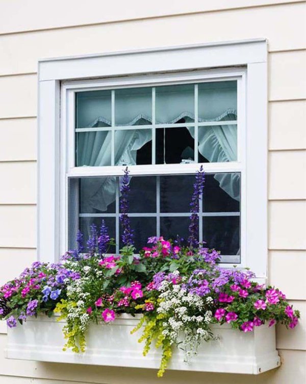 window box idea